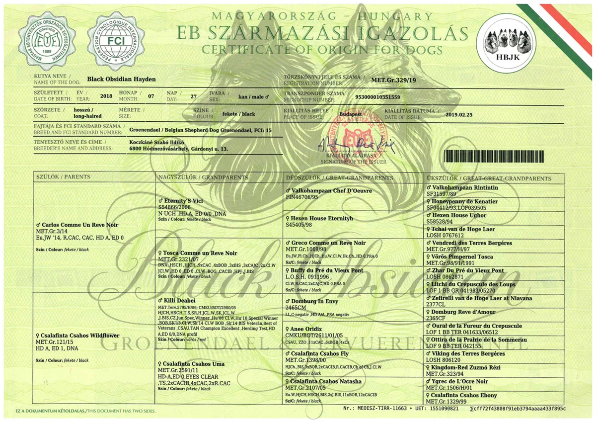 Black Obsidian Hayden – kép 3