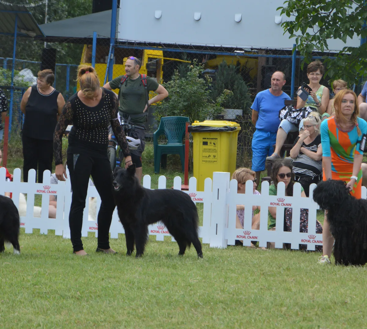 Black Obsidian Khendra – kép 3