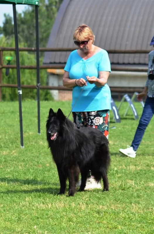 Black Obsidian Hayden – 18. kép