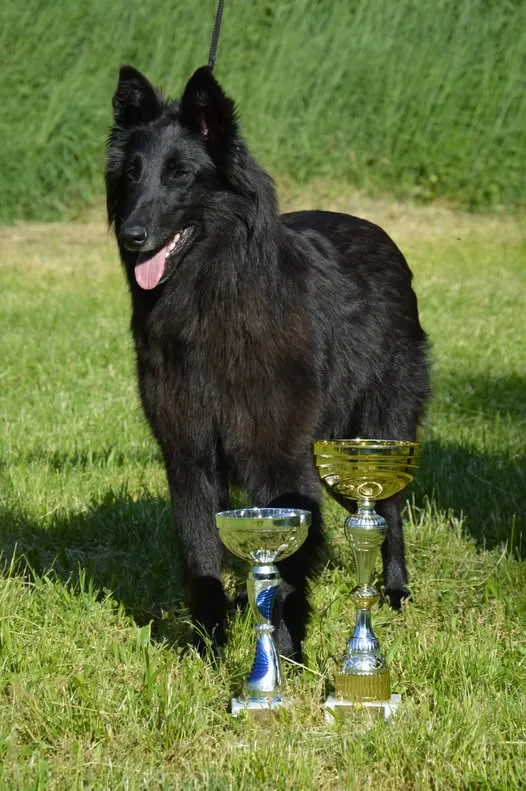 Black Obsidian Khendra – 6. kép