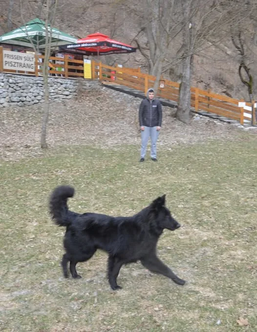 Black Obsidian Khendra – 11. kép