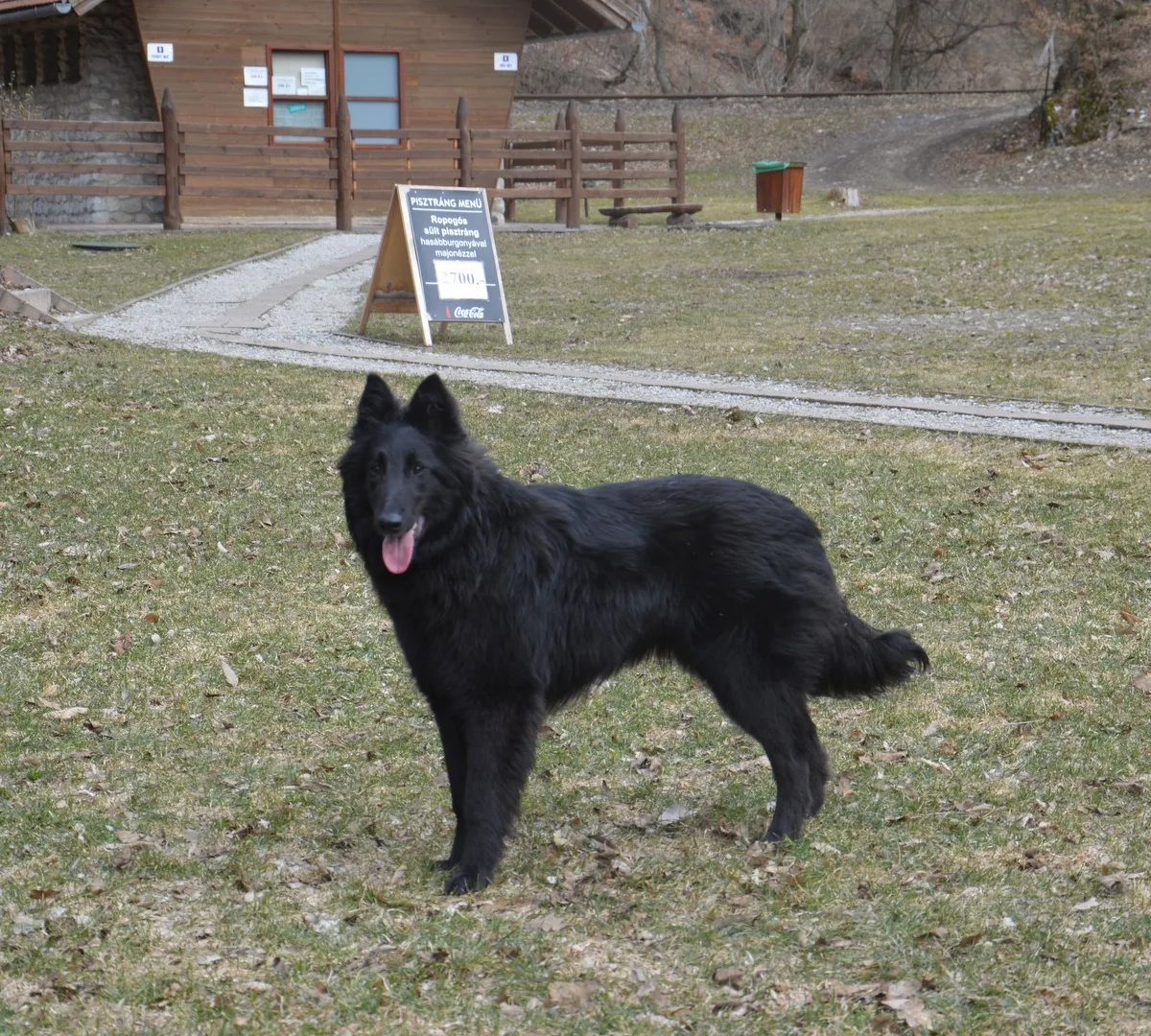 Black Obsidian Khendra – 20. kép