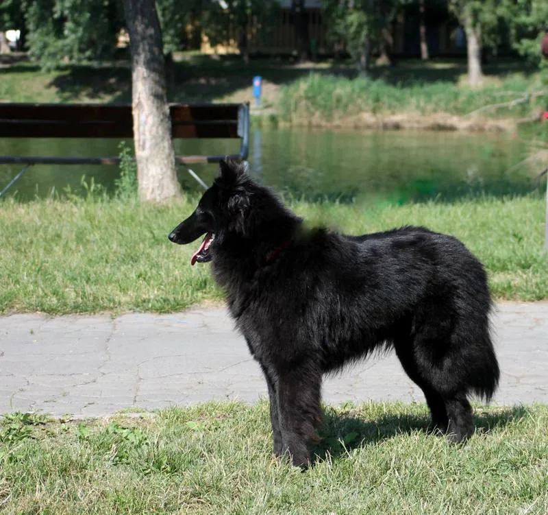 Eternity's Nike – 3. kép