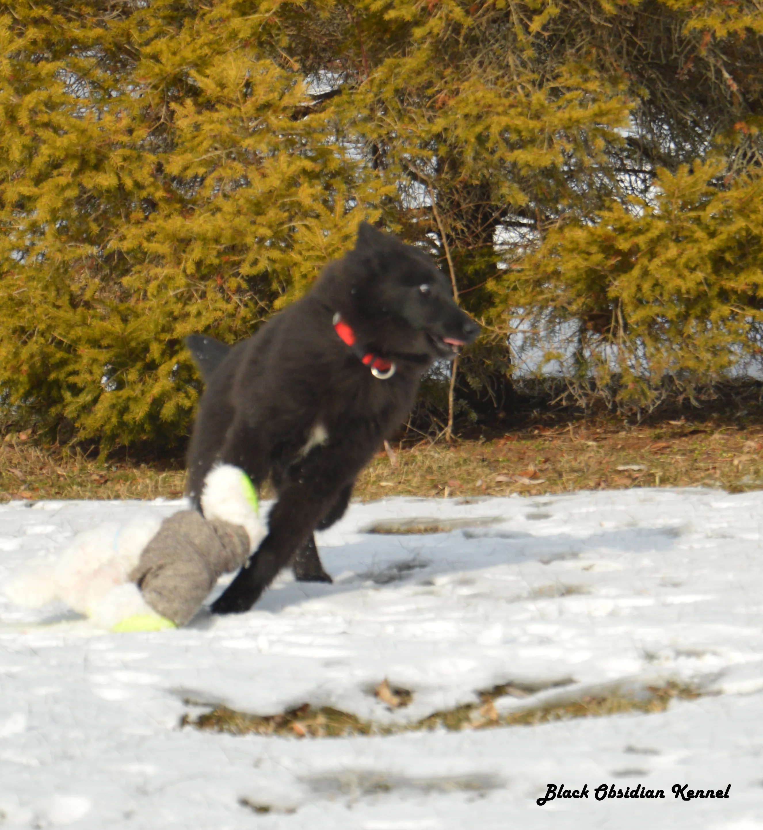 Eternity's Nike – 6. kép