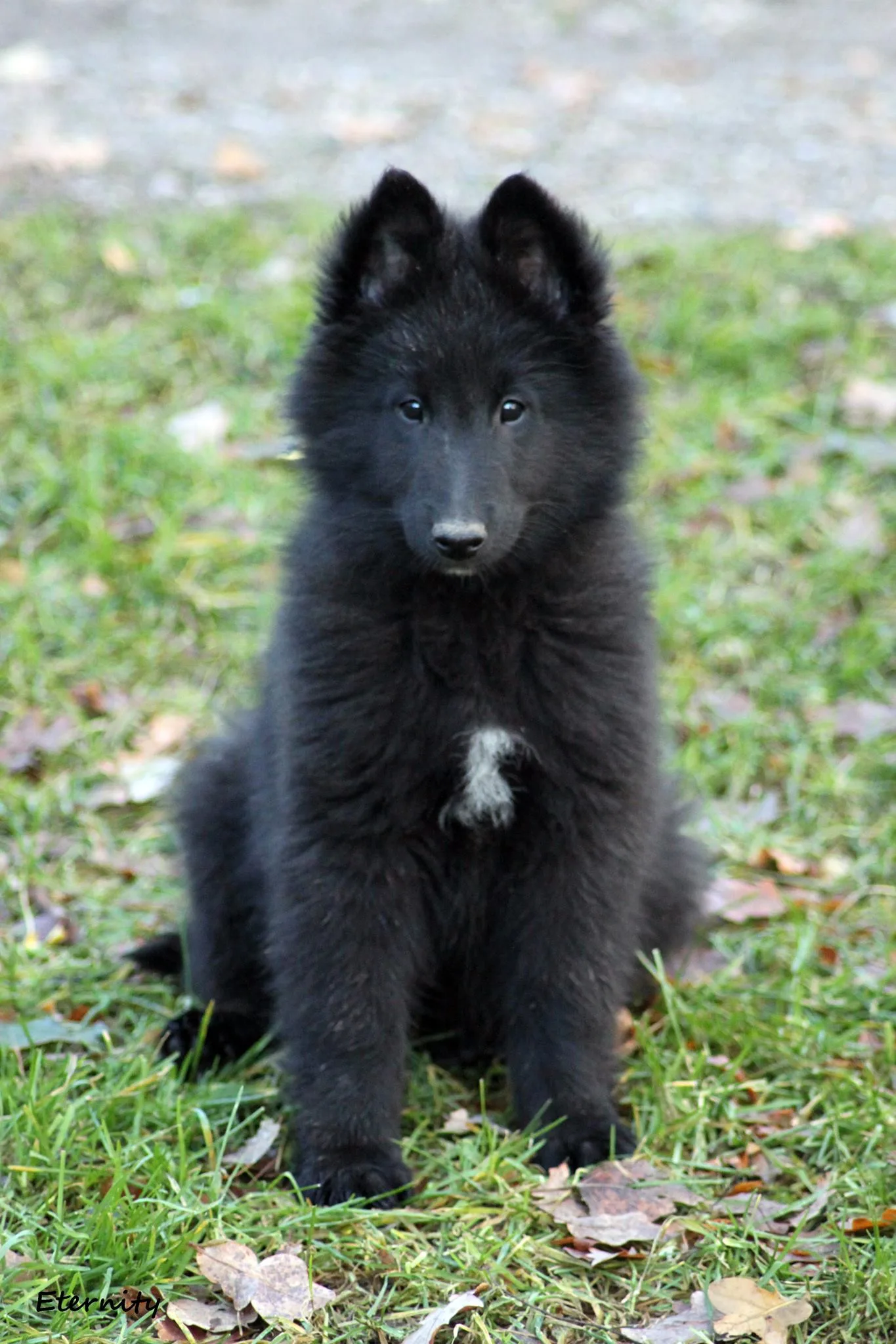 Eternity's Nike – 10. kép