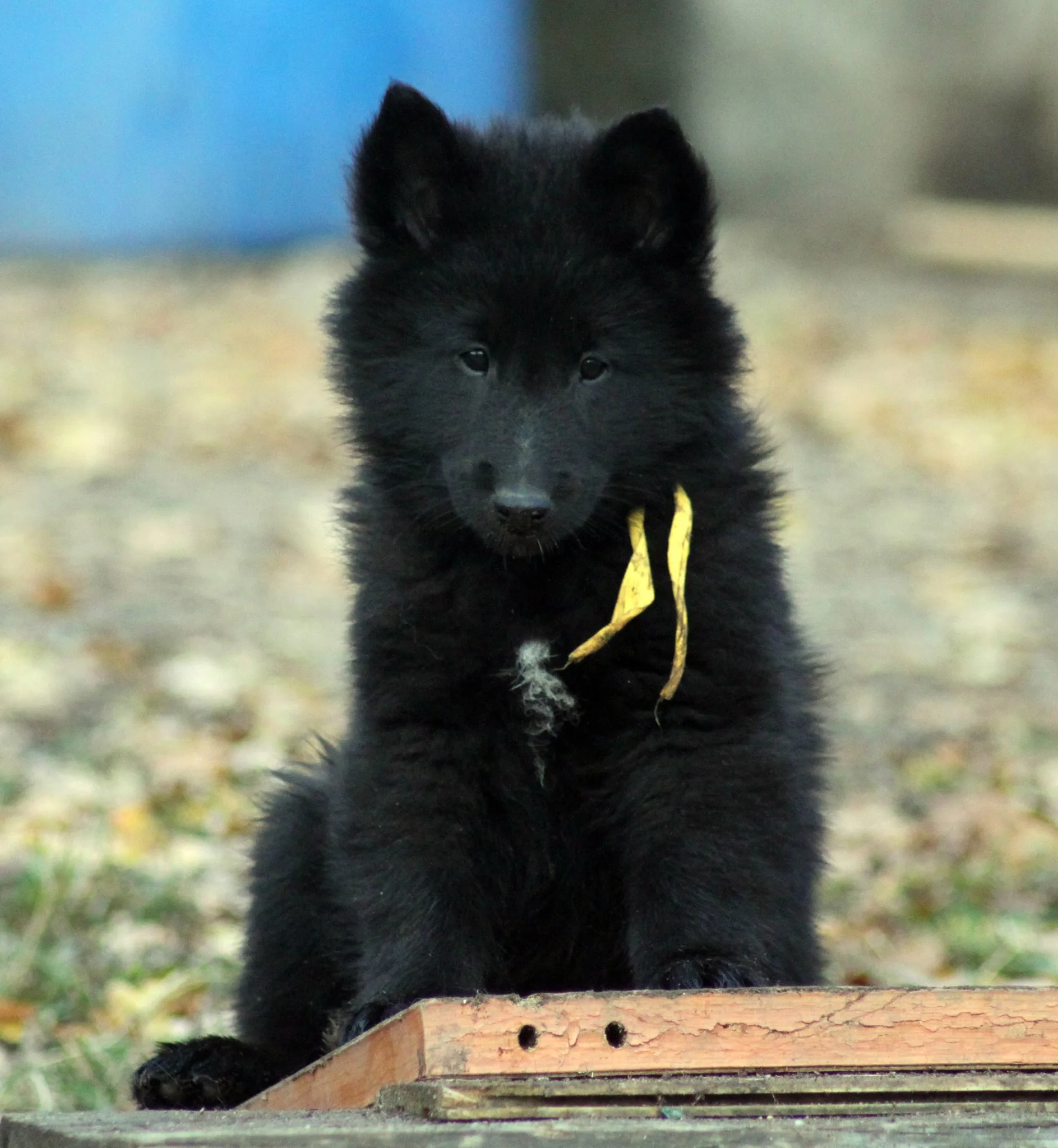 Eternity's Nike – 11. kép