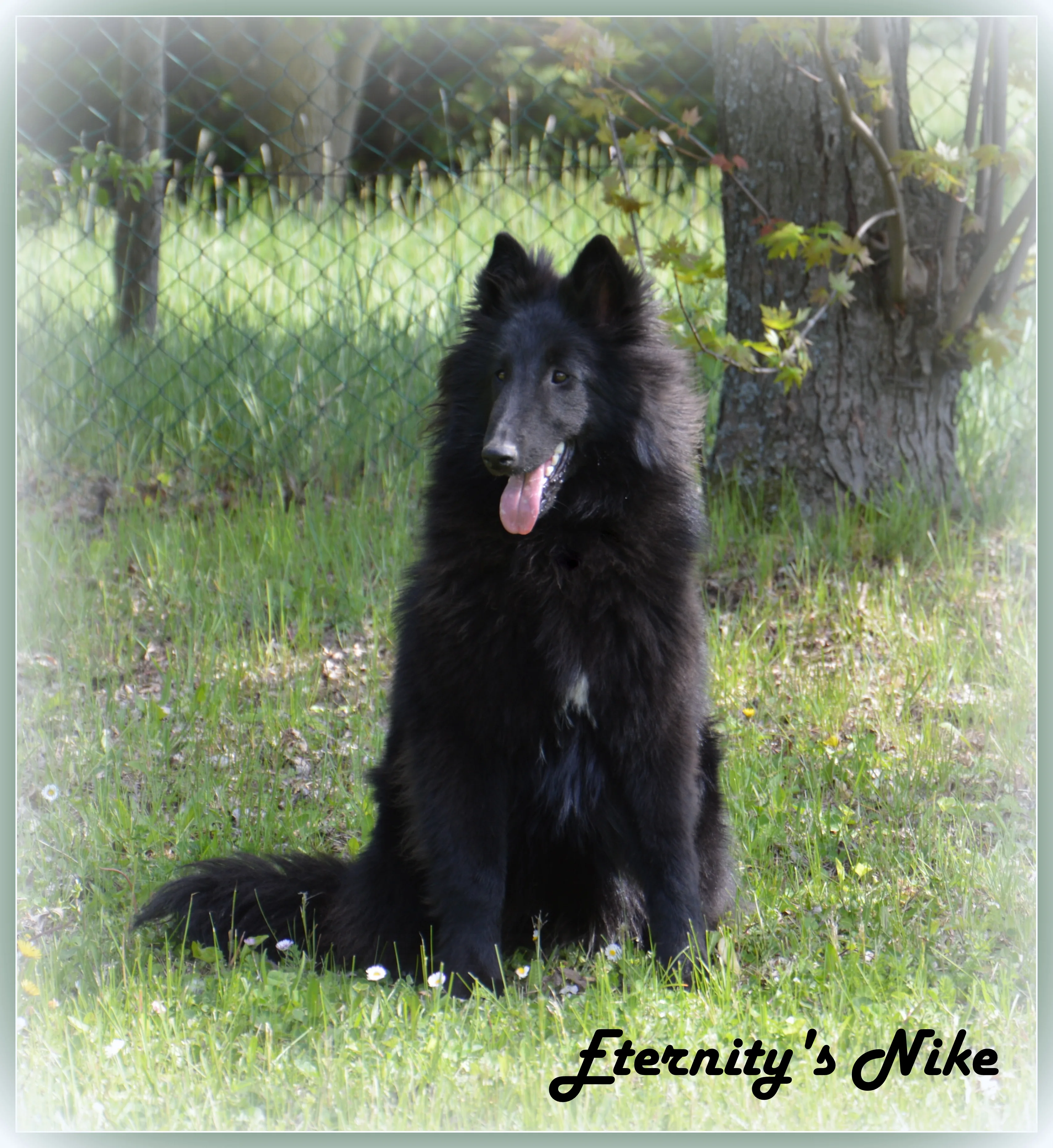 Eternity's Nike – 12. kép