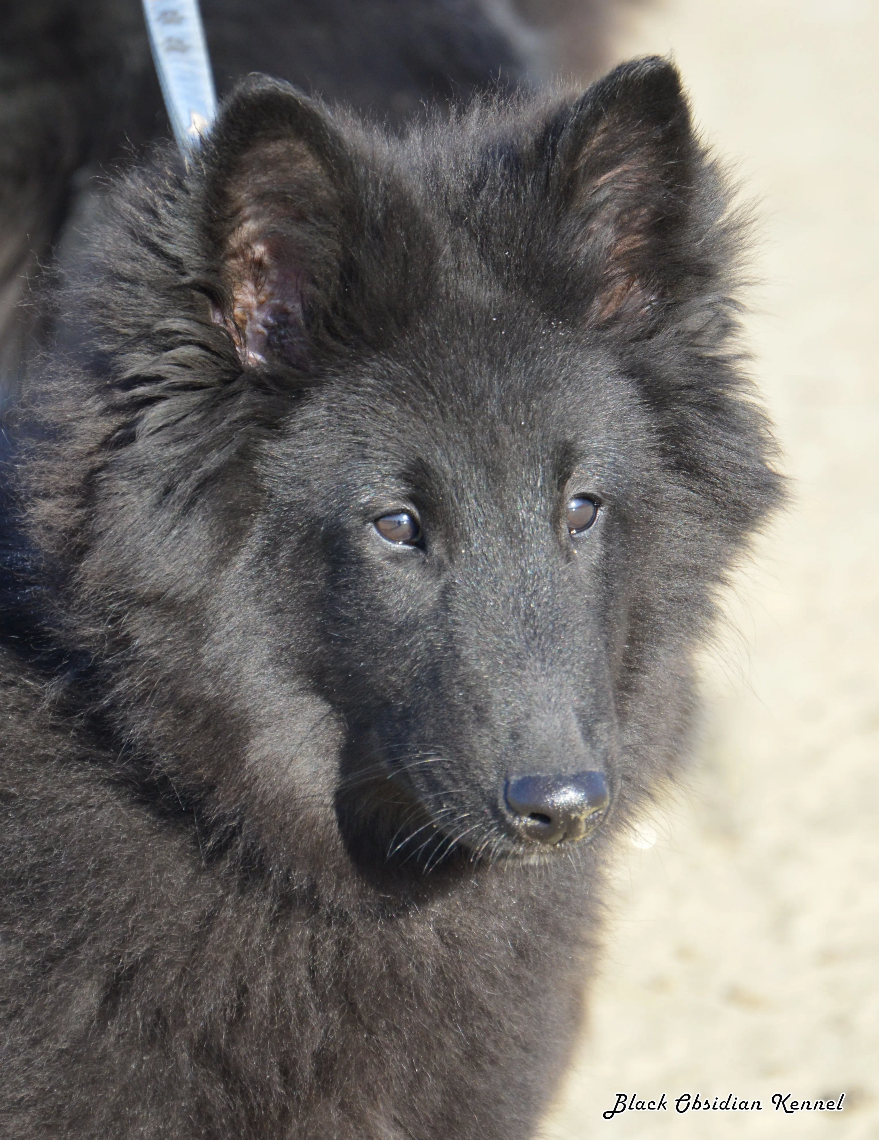 Eternity's Nike – 14. kép