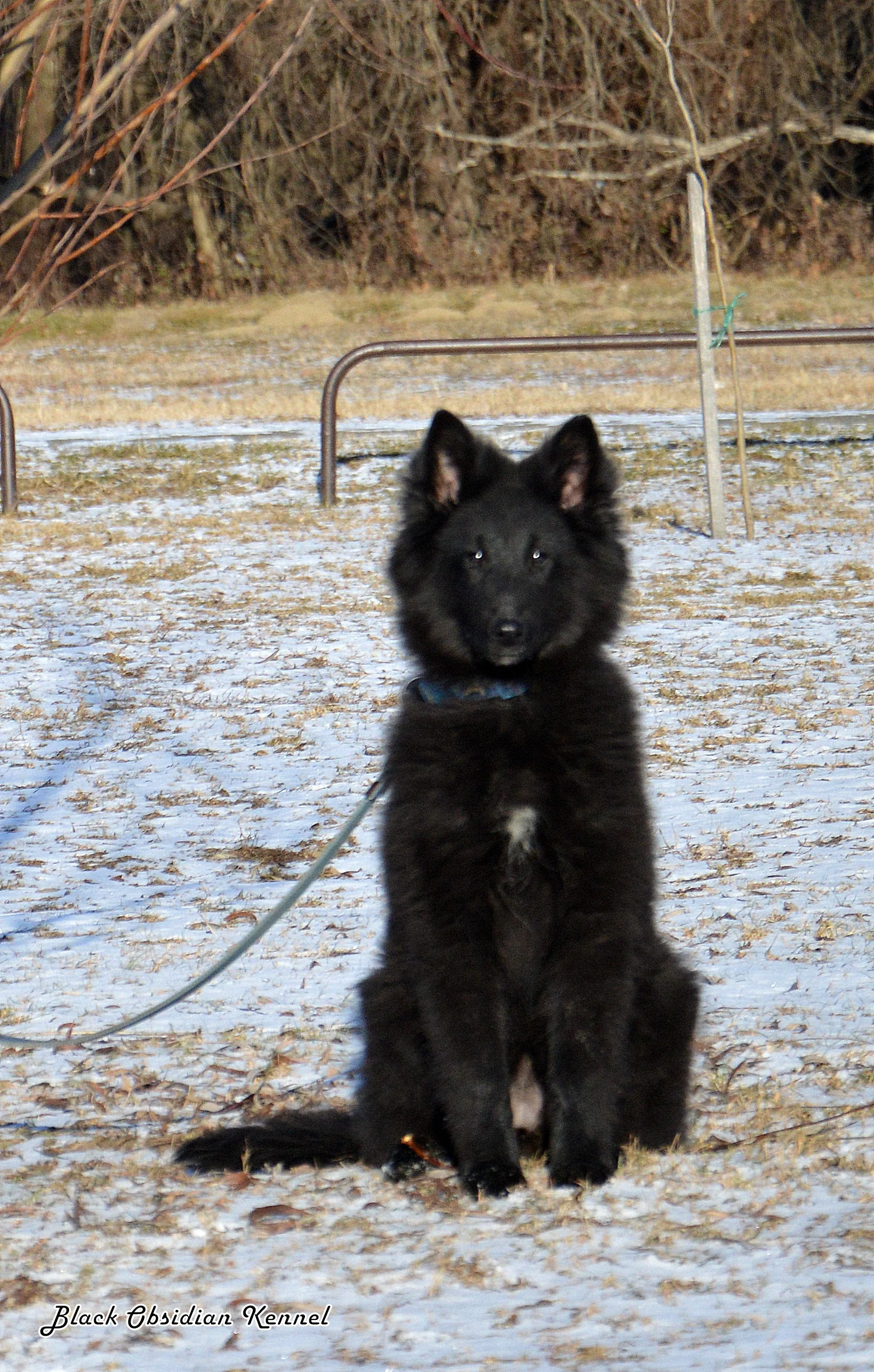 Eternity's Nike – 15. kép