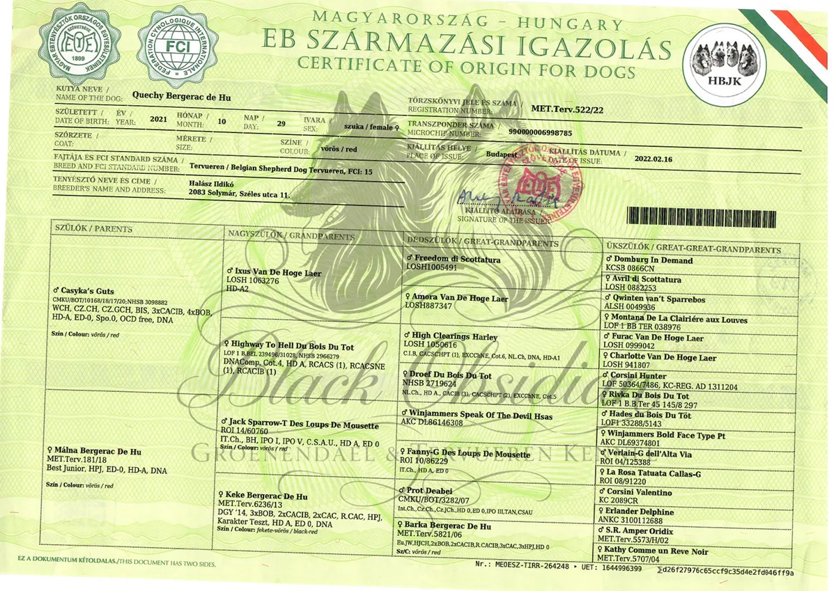 Quechy Bergerac DE Hu 'Topáz' – kép 3