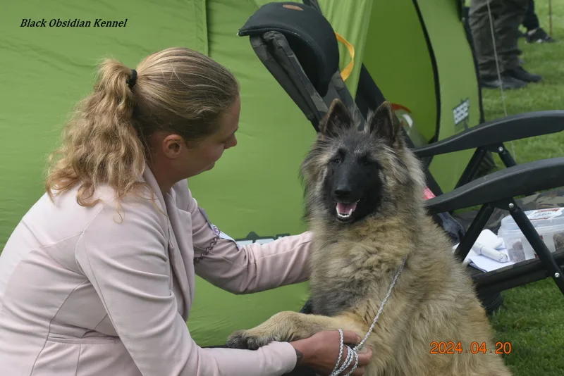 Black Obsidian Tequila – 10. kép