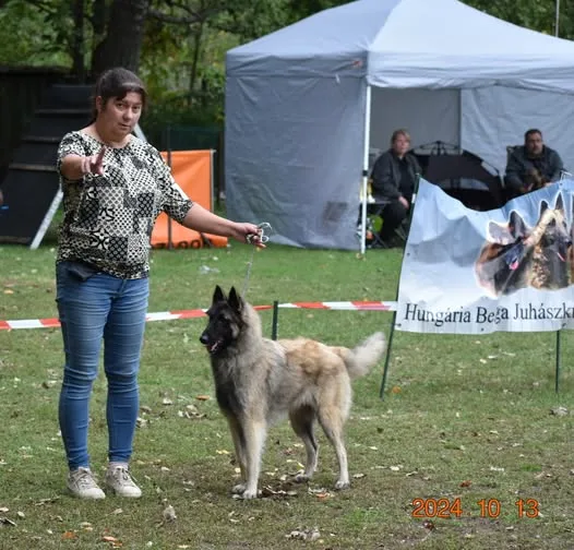 Black Obsidian Tequila – 11. kép