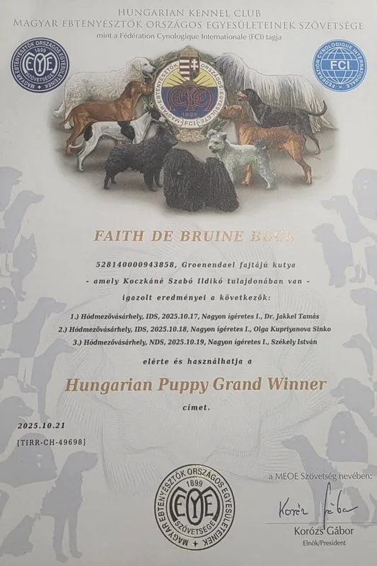 Faith de Bruine Buck 'Zafír' – 2. kép