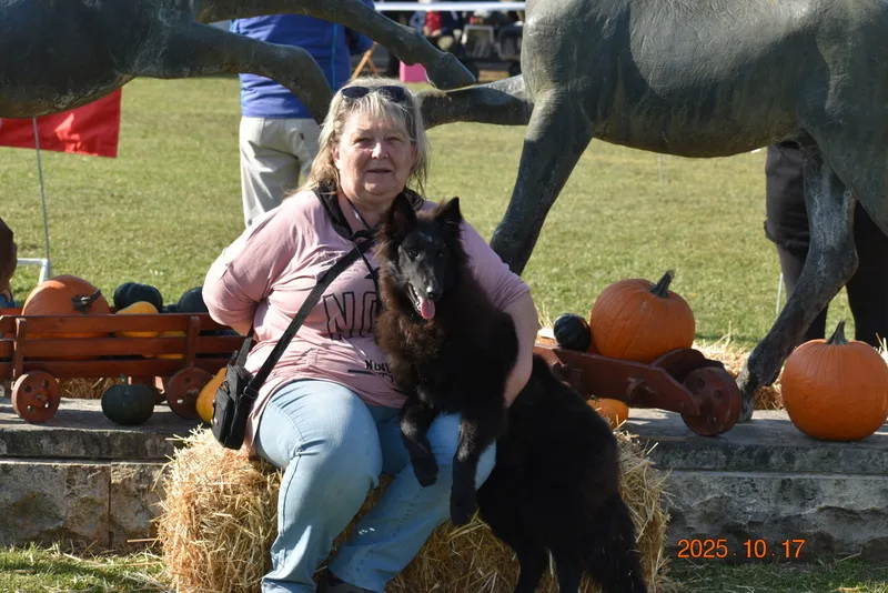 Faith de Bruine Buck 'Zafír' – 9. kép