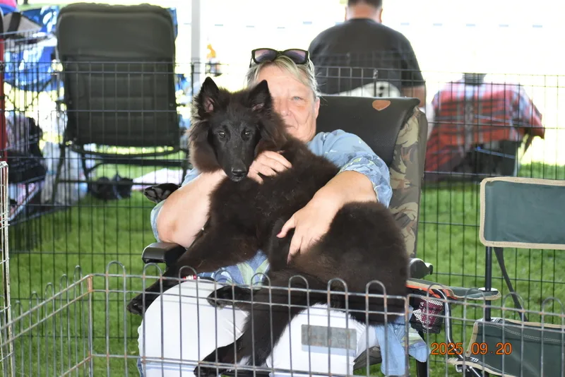 Faith de Bruine Buck 'Zafír' – 15. kép