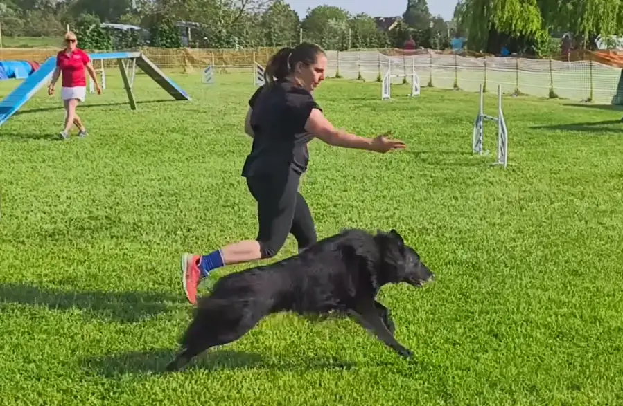 Black Obsidian Maddox