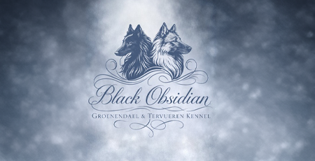 Május elején kiskutyák várhatóak