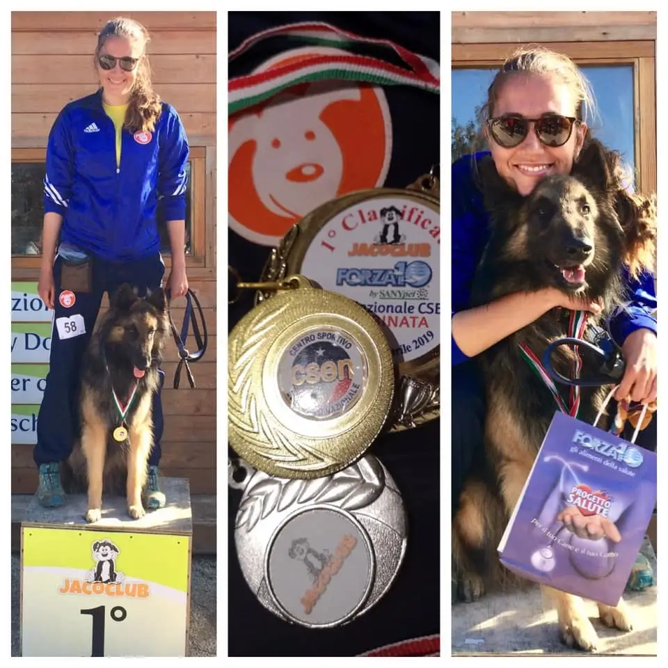 Black Obsidian Guinnes 'Floki' nyugdíjba vonul.