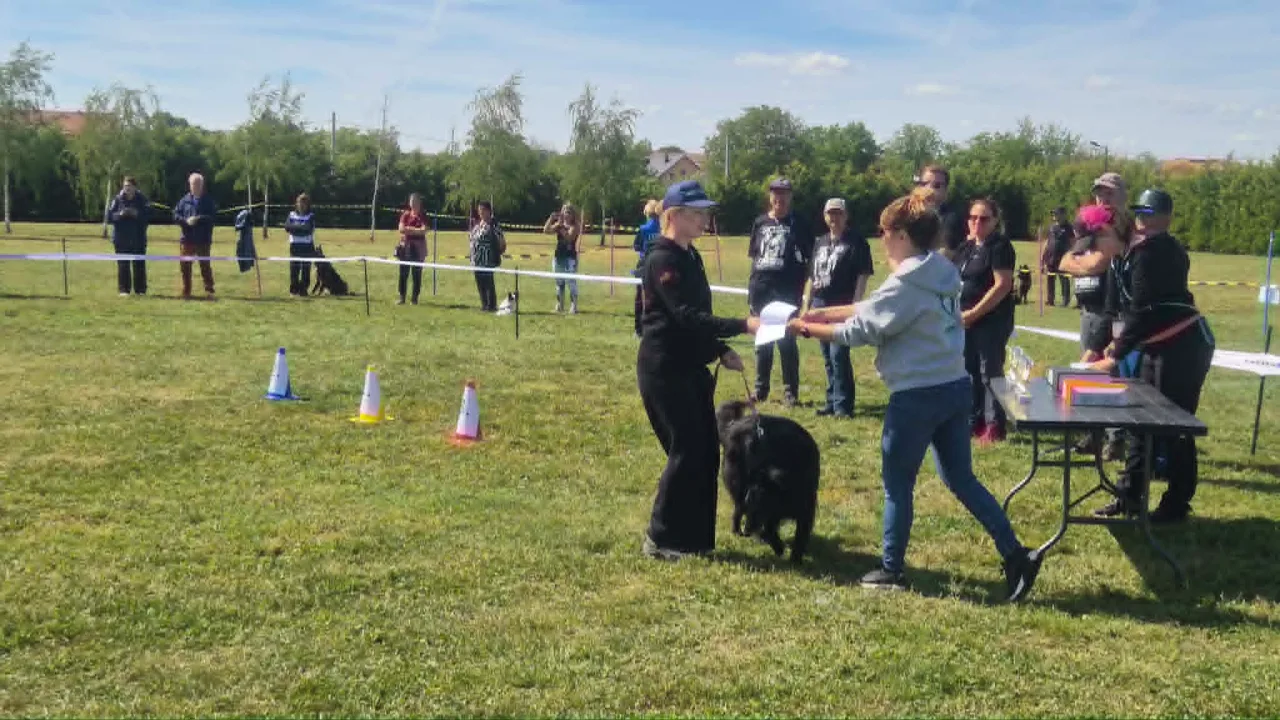 Black Obsidian Kelsey 'Haley' és B. Nagy Nóra páros az FMBB világbajnokságon 