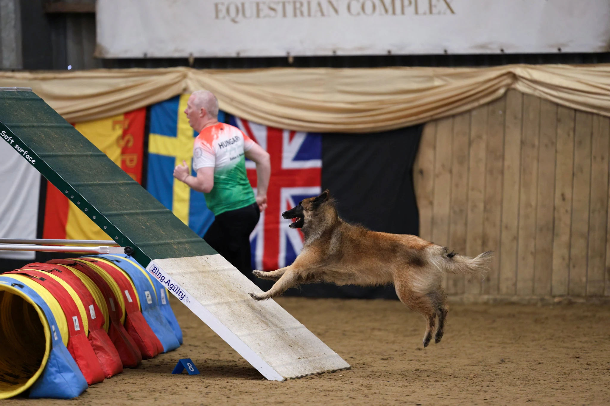 IMCA 2026 - Nemzetközi Agility Bajnokság | Black Obsidian Lex 'Nolan' kép 6