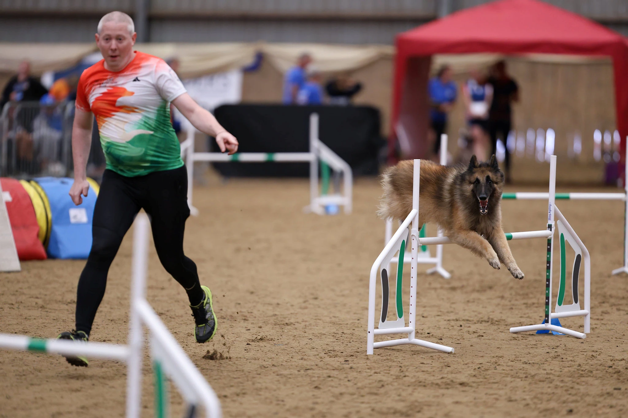IMCA 2026 - Nemzetközi Agility Bajnokság | Black Obsidian Lex 'Nolan' kép 7
