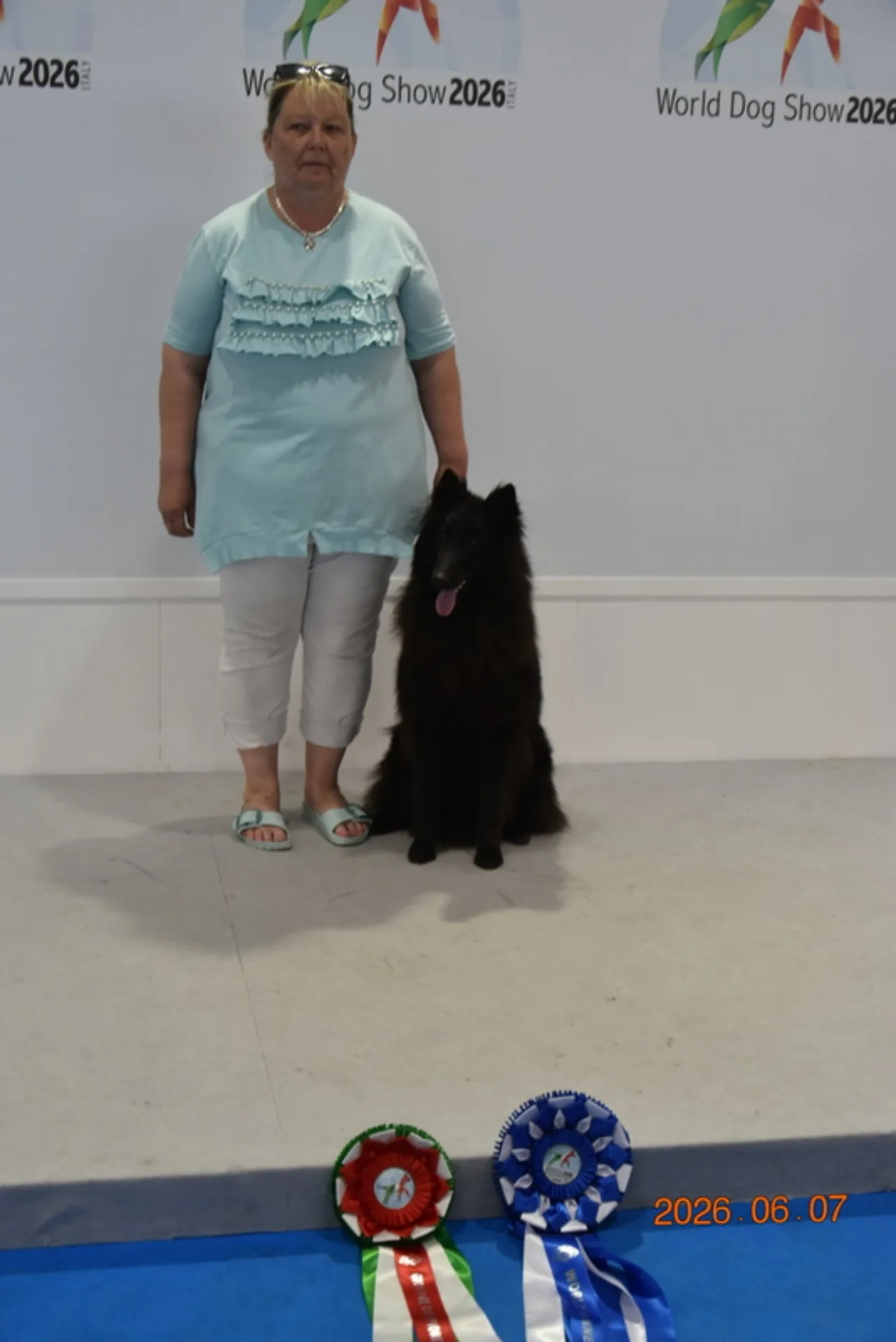 Zafir az Olaszországi World Dog Show-n  kép 2